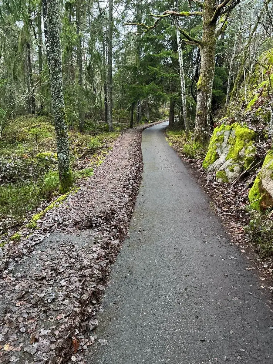 Vägarbete & Asfalt